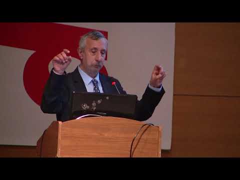 Prof. Igor Juricev Raycap Yeni Seri AG Parafudr Teknolojisi Sunumu